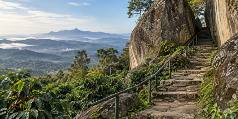 Illustration of the rocky hilltop trail to Edakkal Caves, Wayanad